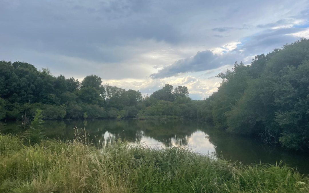 Université d&rsquo;été URIF/ CSF  Saint Jean de la Motte : une semaine champêtre riche en réflexion, émotion et évasion!!!